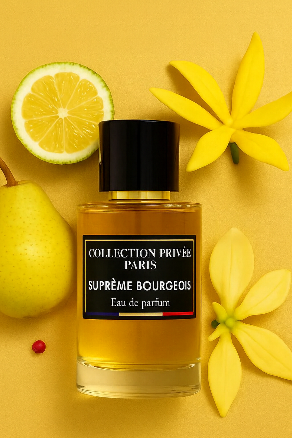 SUPRÊME BOURGEOIS - Collection Privée
